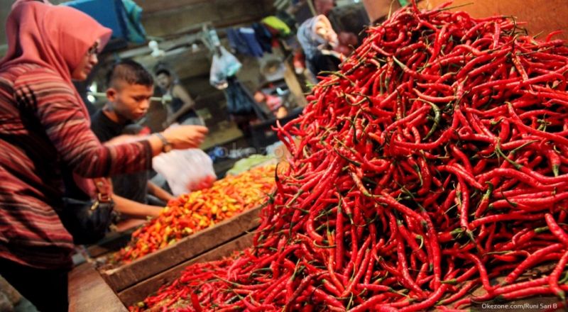 Harga Cabai di Solsel Rp95 Ribu per Kilogram